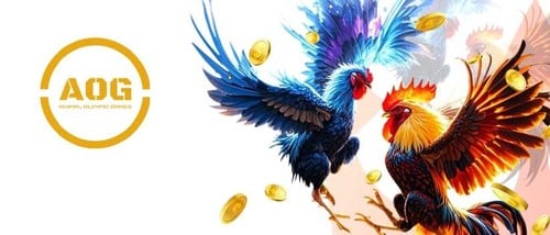 AOG cockfight games provider